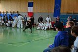 German_Open _Giebelstadt_2014_12.jpg